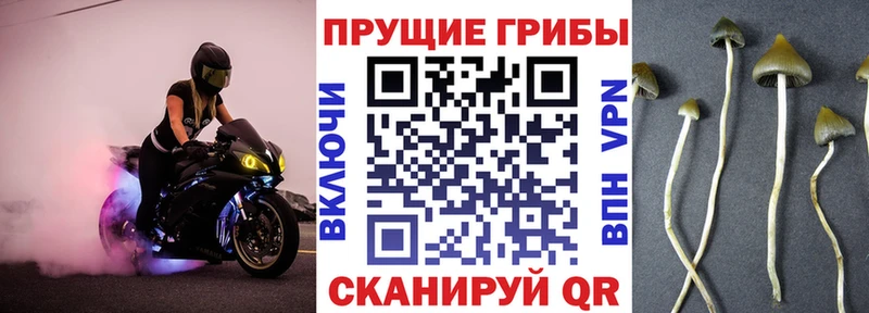 Купить закладки  Белый  Галлюциногенные грибы прущие грибы 